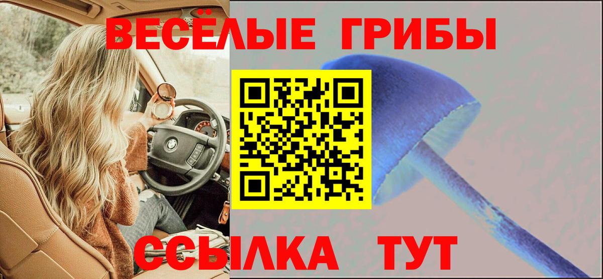 Псилоцибиновые грибы Magic Shrooms  Псилоцибиновые грибы Psilocybe  Вход с VPN  Приморско-Ахтарск 